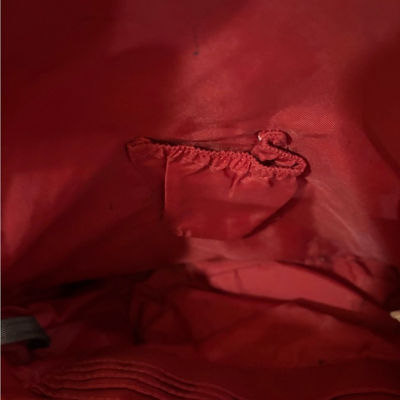 Baggalini Dark Brown Backpack (Daypack) with Front Pocket - Picture 6 of 13